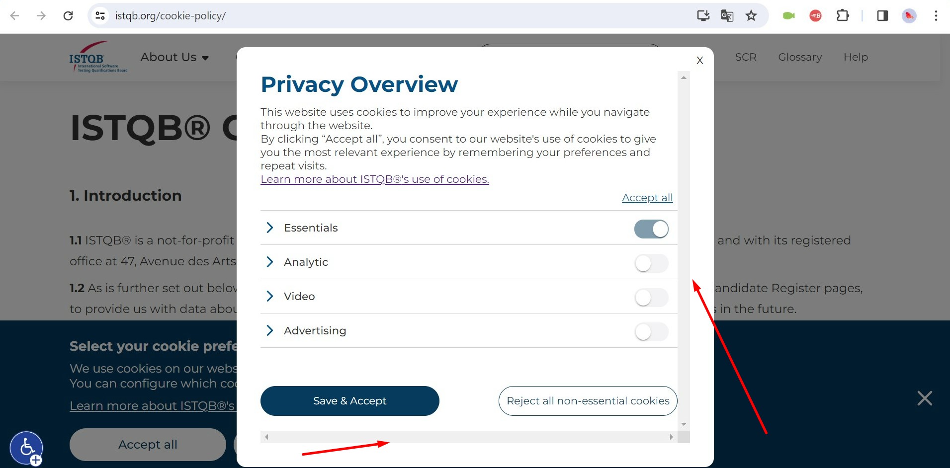 Desplazamientos extra en la ventana Visión general de la privacidad para cookies