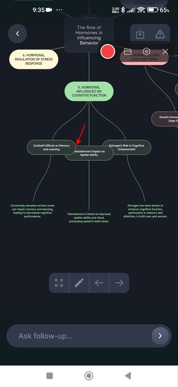 Superposición de contenidos en la segunda rama de los bloques superior e inferior del mapa visual