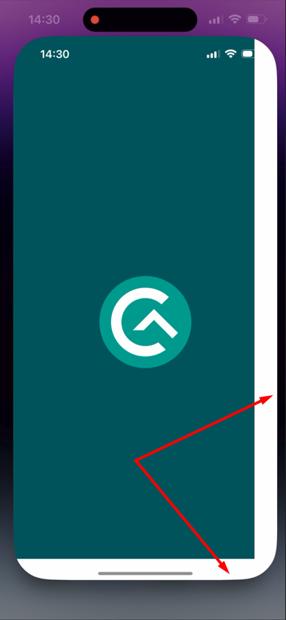 Pantalla splash cortada a la derecha y abajo al lanzar la app