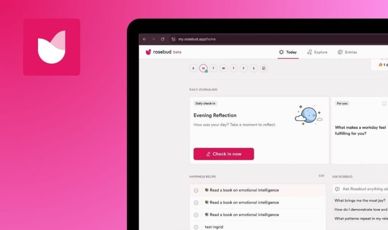 Errores encontrados en Rosebud: AI Journal & Diary